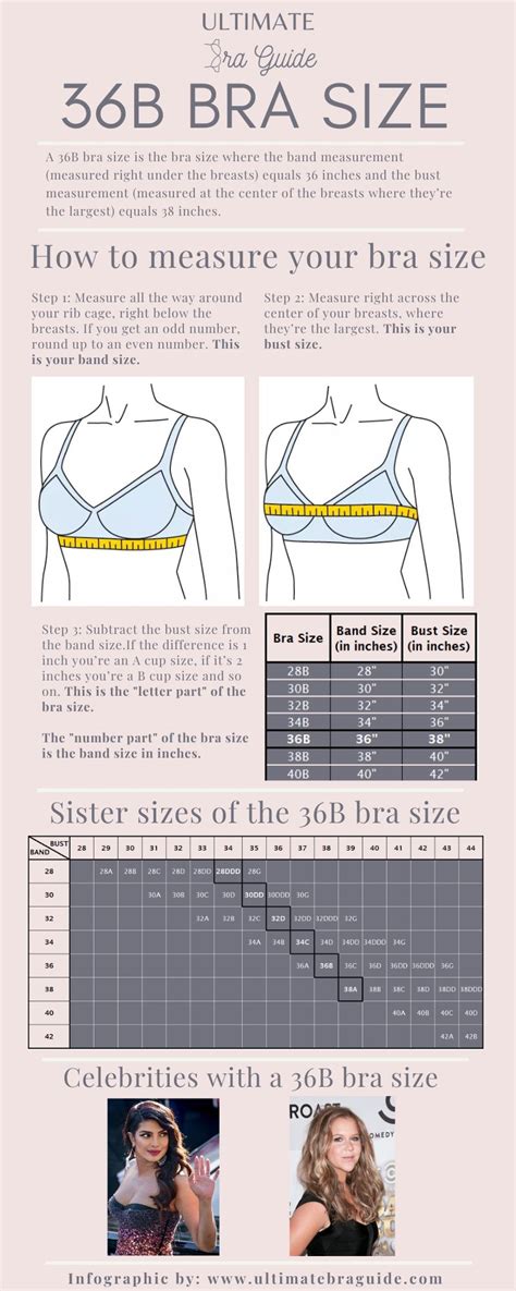 dolce gabbana bra size 3b is what us|36 bra conversion.